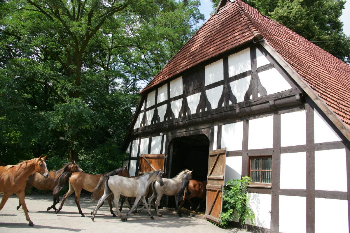 Pferdehof - Image# 1